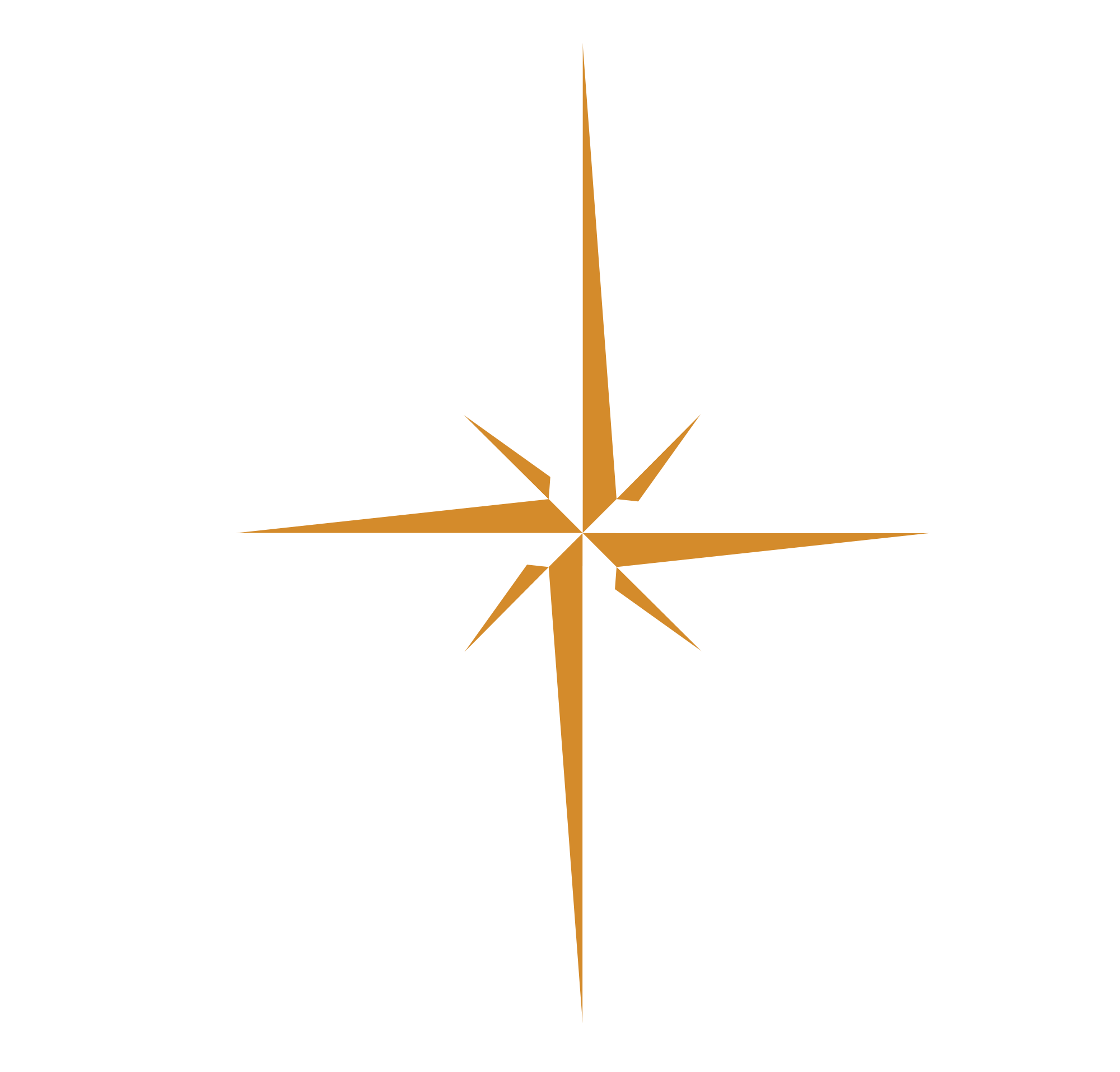 Second Star Clothing Co.